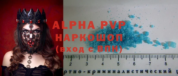 прущие грибы Новозыбков