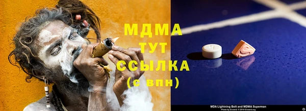 прущие грибы Новозыбков
