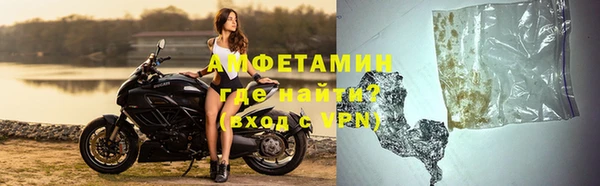 прущие грибы Новозыбков