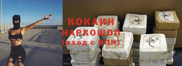 шишки Новокубанск