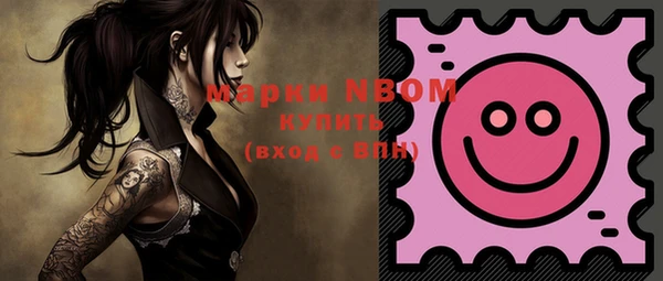 шишки Новокубанск