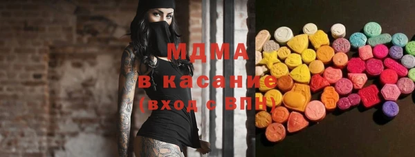 прущие грибы Новозыбков