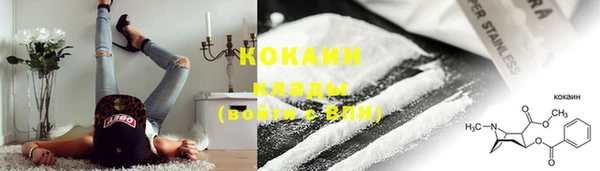 прущие грибы Новозыбков