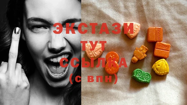прущие грибы Новозыбков