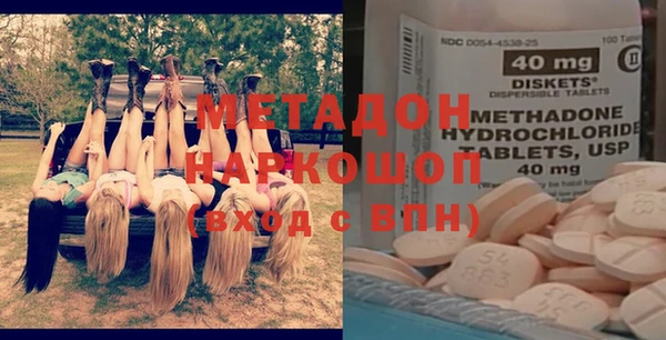 прущие грибы Новозыбков