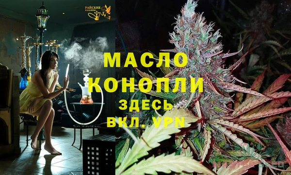 прущие грибы Новозыбков