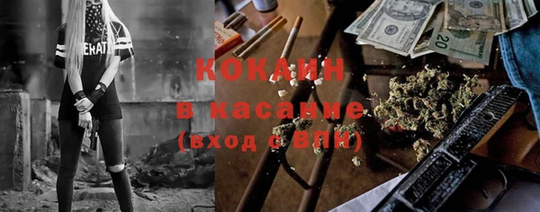 прущие грибы Новозыбков