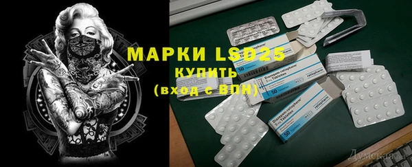 прущие грибы Новозыбков