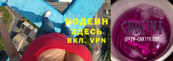 прущие грибы Новозыбков